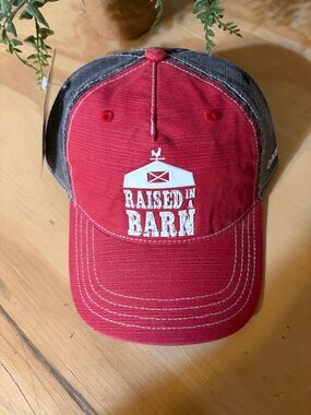 Kids Red and Gray 'Raised in a Barn' Baseball Cap